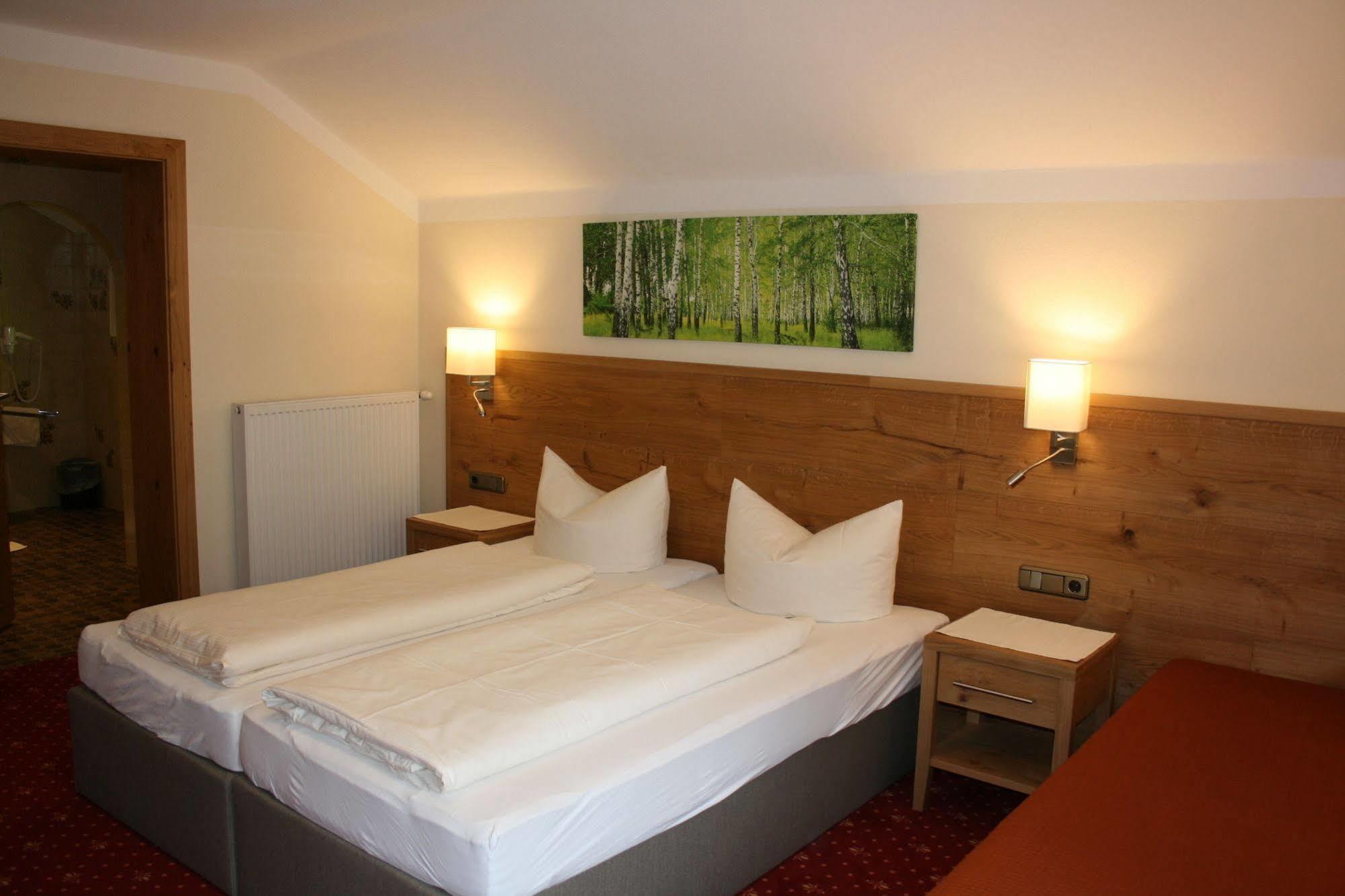 Pension Birkenhof Mayrhofen Dış mekan fotoğraf