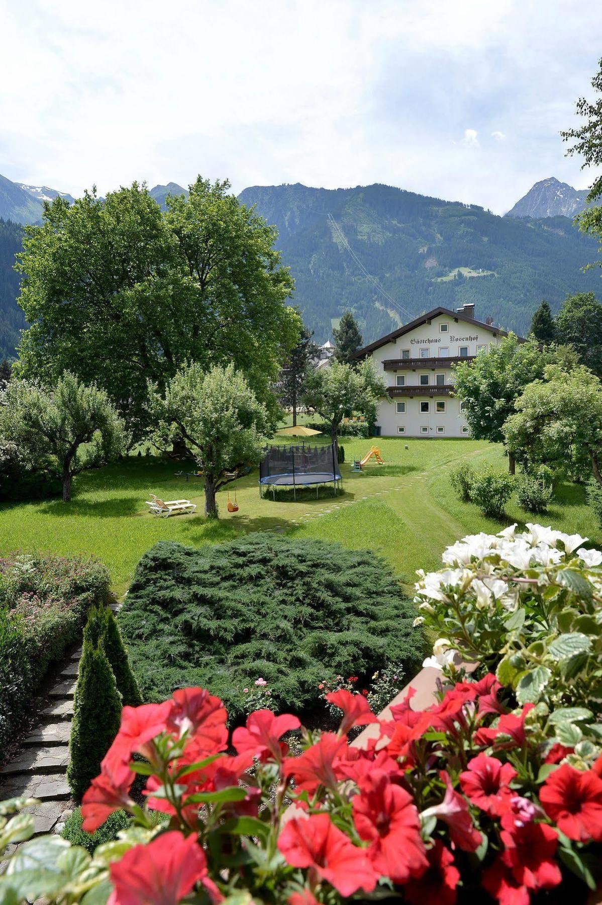 Pension Birkenhof Mayrhofen Dış mekan fotoğraf