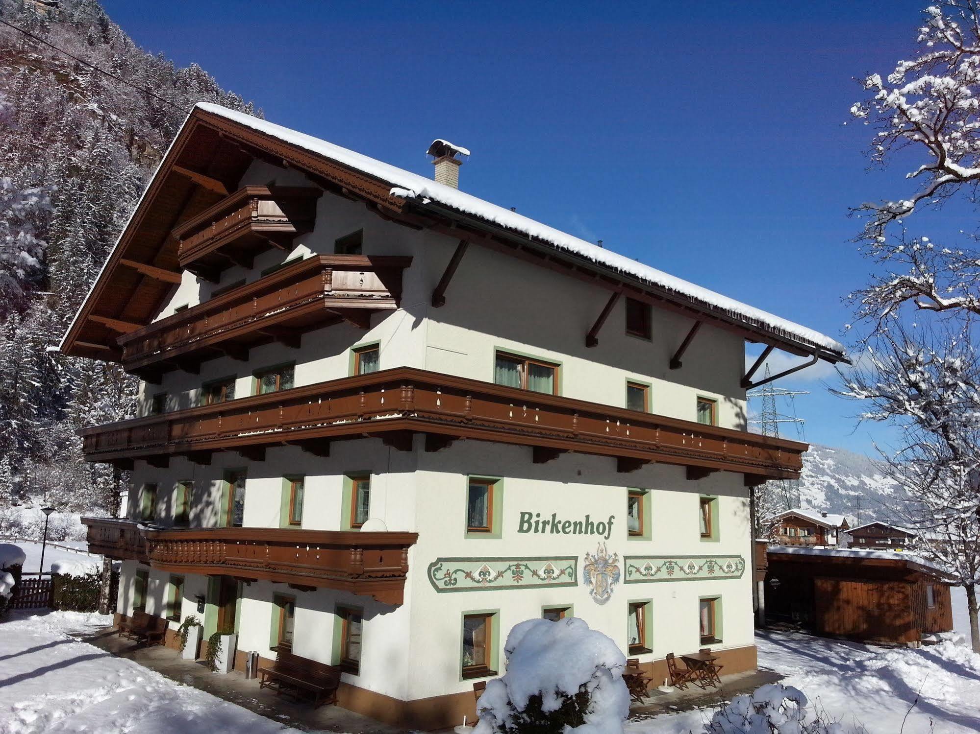 Pension Birkenhof Mayrhofen Dış mekan fotoğraf